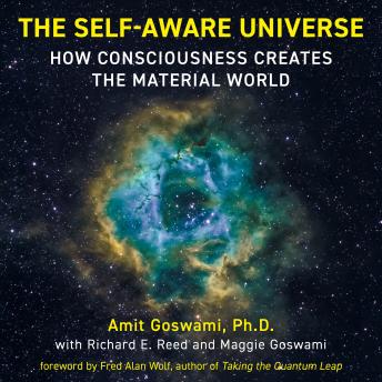 The Self-Aware Universe: How Consciousness Creates the Material World