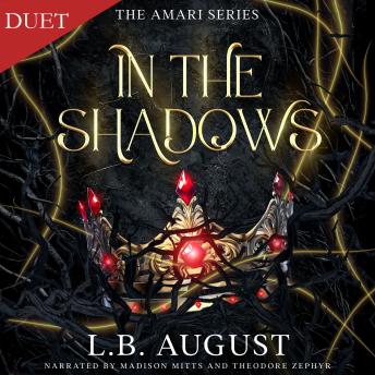 In The Shadows: A forbidden, enemies to lovers romance