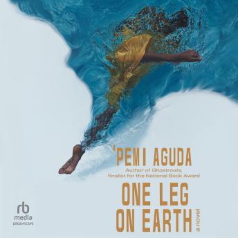 One Leg on Earth: A Novel