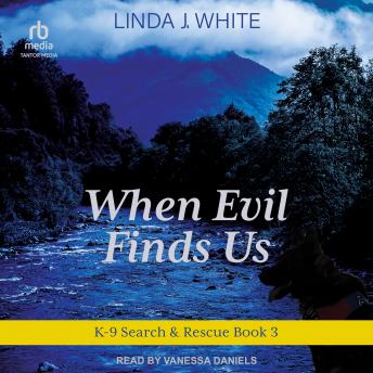 Download When Evil Finds Us by Linda J. White