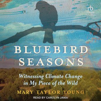 Bluebird Seasons: Witnessing Climate Change in My Piece of the Wild