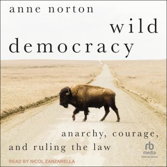 Download Wild Democracy: Anarchy, Courage, and Ruling the Law by Anne Norton