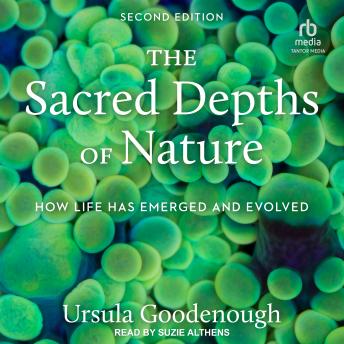 The Sacred Depths of Nature: How Life Has Emerged and Evolved, 2nd Edition