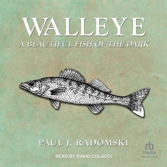 Walleye: A Beautiful Fish of the Dark