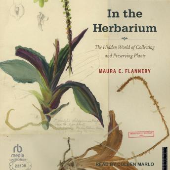 In the Herbarium: The Hidden World of Collecting and Preserving Plants