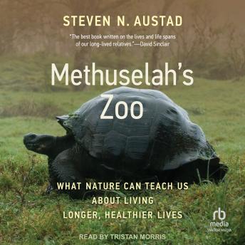 Download Methuselah's Zoo: What Nature Can Teach Us about Living Longer, Healthier Lives by Steven N. Austad