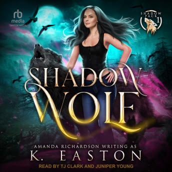 Download Shadow Wolf by Amanda Richardson