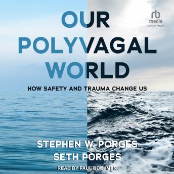 Our Polyvagal World: How Safety and Trauma Change Us
