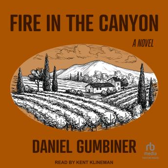 Fire in the Canyon: A Novel