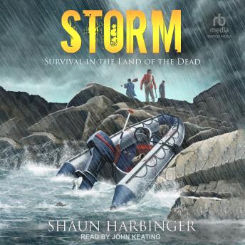 Download Storm: Survival in the Land of the Dead by Shaun Harbinger