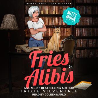 Fries and Alibis: Paranormal Cozy Mystery