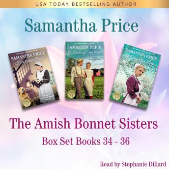 The Amish Bonnet Sisters Box Set, Volume 12 Books 34-36 (Her Amish Quilt, A Home Of Their Own, A Chance For Love): Amish Romance
