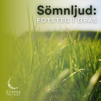 [Swedish] - Sömnljud:: Fotsteg i gräs