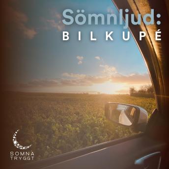 [Swedish] - Sömnljud:: Bilkupé