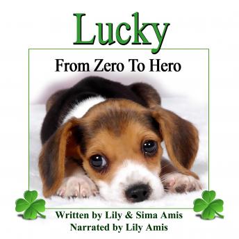 Lucky: From Zero To Hero