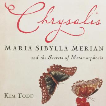 Download Chrysalis: Maria Sibylla Merian and the Secrets of Metamorphosis by Kim Todd
