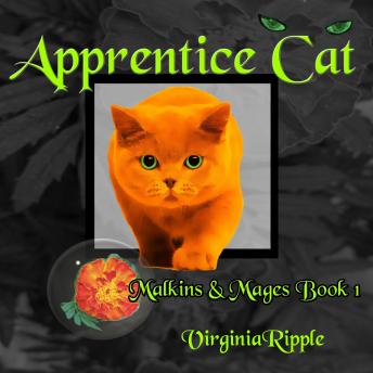 Apprentice Cat: Toby's Tale Book 1