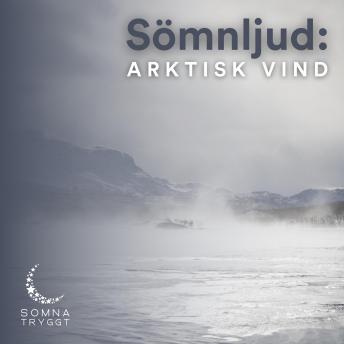 [Swedish] - Sömnljud:: Arktisk vind