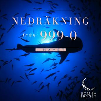 [Swedish] - Nedräkning från 999-0: I Havet