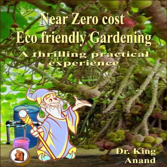 Near Zero Cost Ecofriendly Gardening : A Thrilling Practical Experience