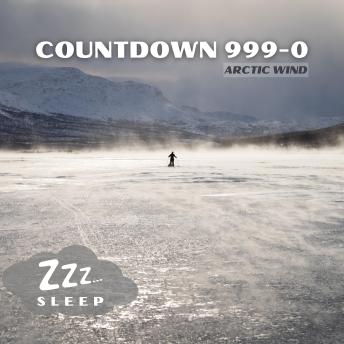 Countdown 999-0: Arctic Wind