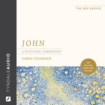 John: A Devotional Commentary: See the Realm of Glory with New Eyes