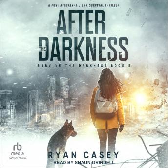 After the Darkness: A Post Apocalyptic EMP Survival Thriller