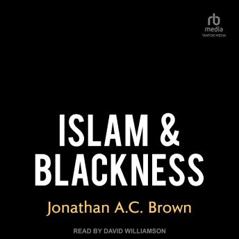 Download Islam & Blackness by Jonathan A.C. Brown
