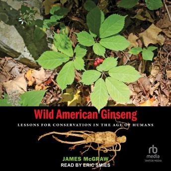 Wild American Ginseng: Lessons for Conservation in the Age of Humans