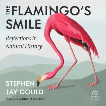 Download Flamingo's Smile: Reflections in Natural History by Stephen Jay Gould