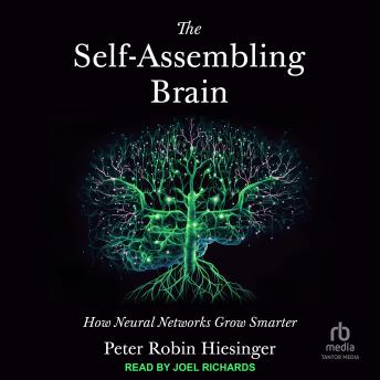 The Self-Assembling Brain: How Neural Networks Grow Smarter