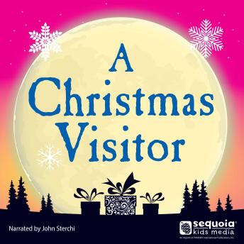 A Christmas Visitor