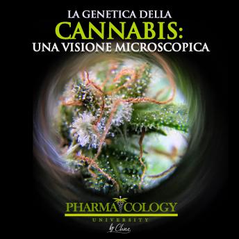 [Italian] - La genetica della cannabis: una visione microscopica