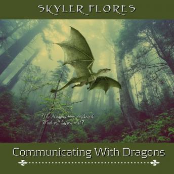 Communicating With Dragons