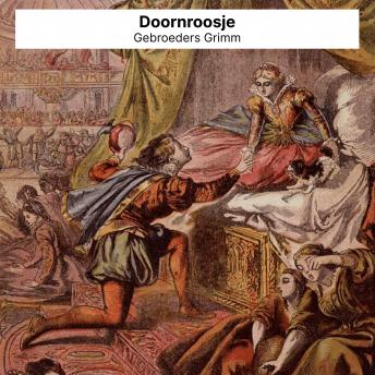 [Dutch; Flemish] - Doornroosje