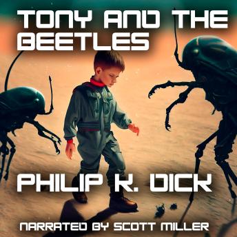 Tony and The Beetles