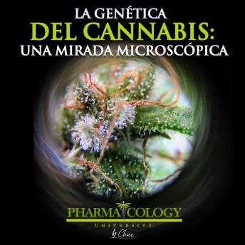 [Spanish] - La genética del cannabis: una mirada microscópica