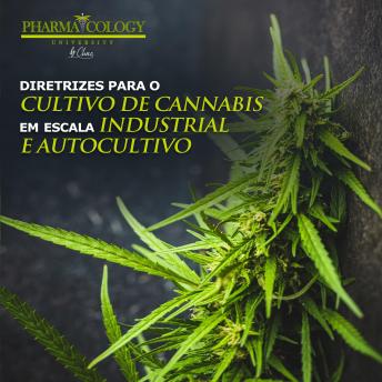 [Portuguese] - Diretrizes para o cultivo de cannabis em escala industrial e autocultivo