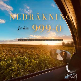 [Swedish] - Nedräkning från 999-0: Ljud från bilkupé