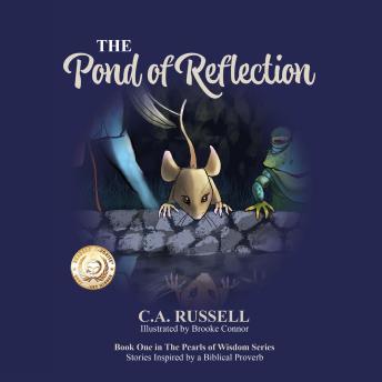 The Pond of Reflection