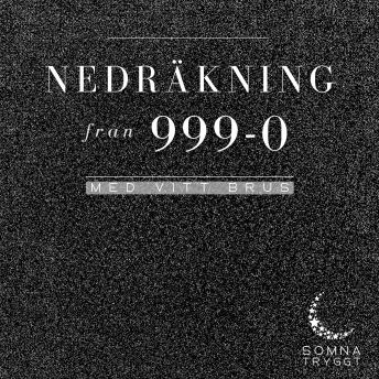 [Swedish] - Nedräkning från 999-0: Med vitt brus