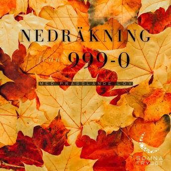 [Swedish] - Nedräkning från 999-0: Med prasslande lön