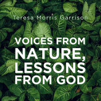 Journey Through Your Day With A Game-Changing Full Audiobook.
