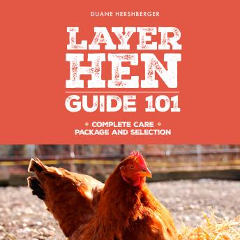 Layer Hen Guide 101: For all your laying hen needs