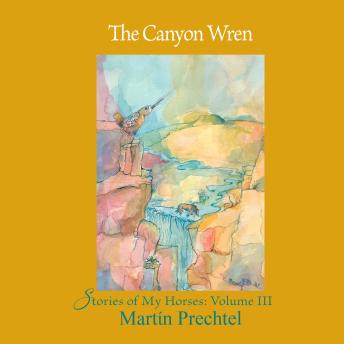 The Canyon Wren