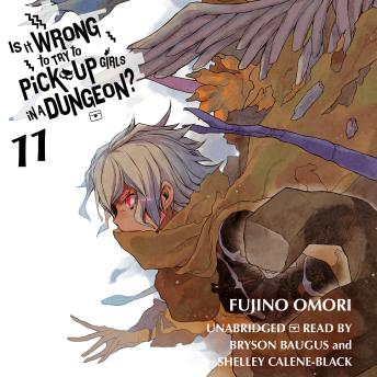 Is It Wrong to Try to Pick Up Girls in a Dungeon?, Vol. 11