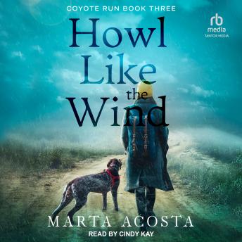 Grab A Full Audiobook That Is Simply Eye-Opening.