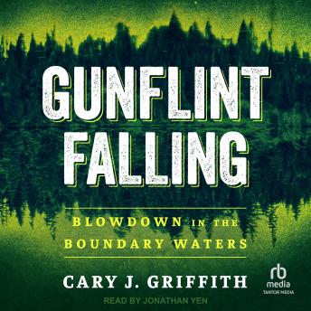 Gunflint Falling: Blowdown in the Boundary Waters