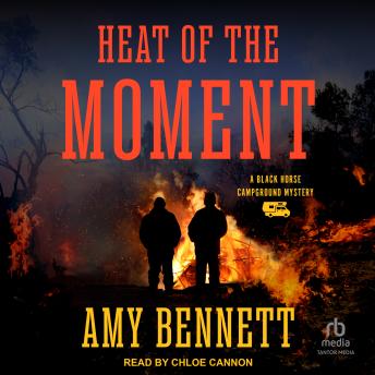 Heat of the Moment