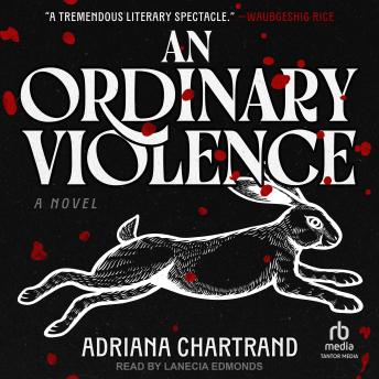An Ordinary Violence: A Novel